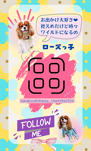 シャーちゃん（裏）