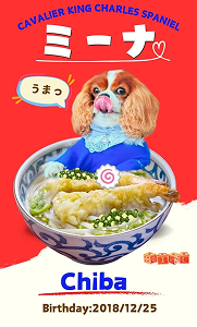 ミーナちゃん（表）